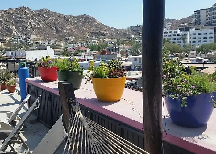 Hotel Siesta Boutique Cabo San Lucas