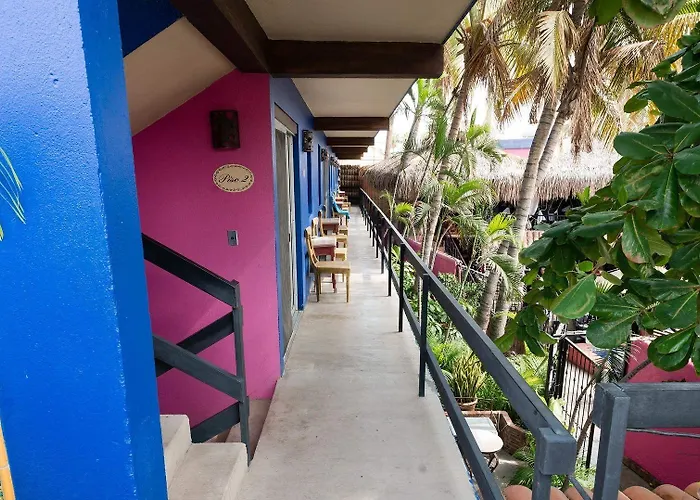 Siesta Boutique